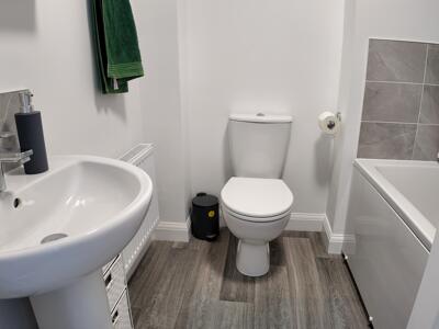 Picture 12